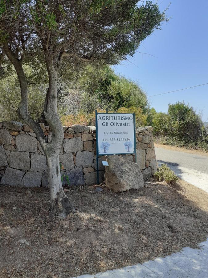 Agriturismo Gli Olivastri: Sunny Apartment with Pool and Sea View Aglientu Exterior photo